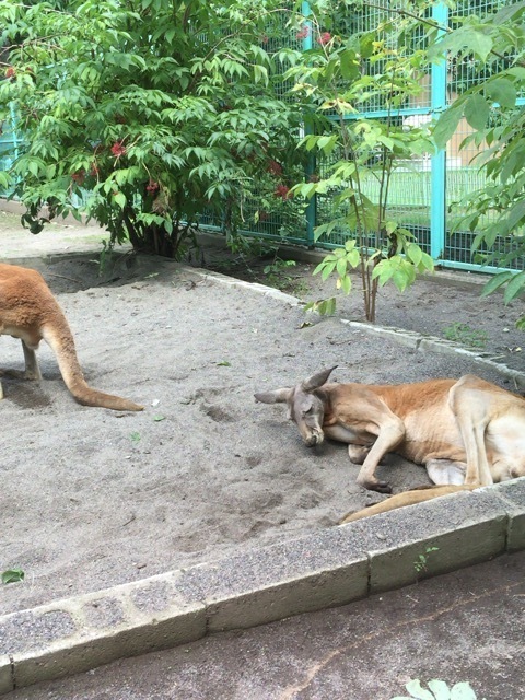 20150809_040353000_iOS.jpg