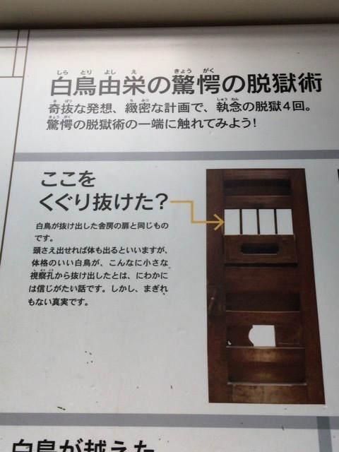 20150922_035458000_iOS.jpg